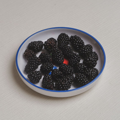 The berries Macro Bowl filled with blackberries.